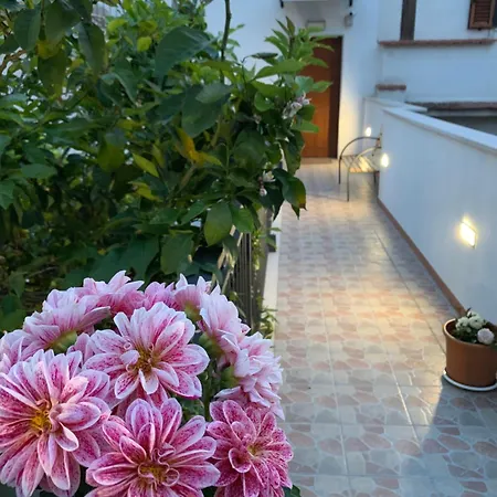 Bed & Breakfast Di Fiore