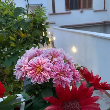 Di Fiore Bed & Breakfast Peschici