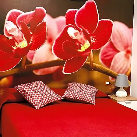 Di Fiore Bed & Breakfast 4*