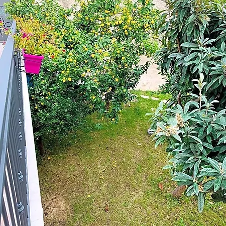 Bed & Breakfast Di Fiore 4*