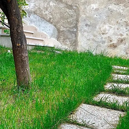Bed & Breakfast Di Fiore Peschici