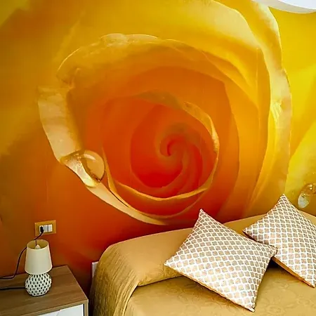 Nocleg ze śniadaniem Di Fiore 4*
