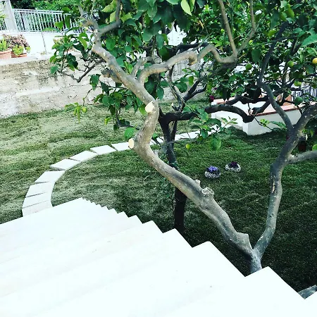 Di Fiore Bed & Breakfast