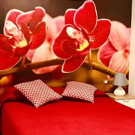 فندق مبيت وإفطار Di Fiore بيسْكيتْشّي
