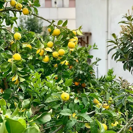 Di Fiore 4* Peschici