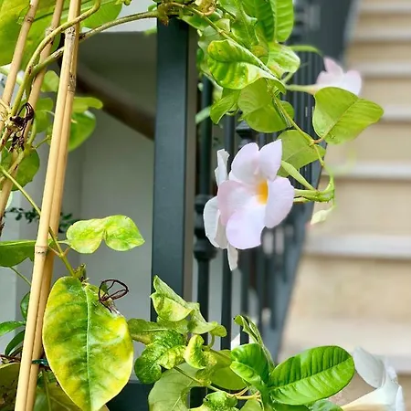 Di Fiore Bed & Breakfast 4*