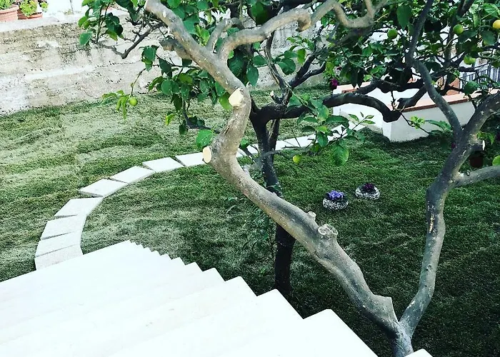 Di Fiore לינה וארוחת בוקר