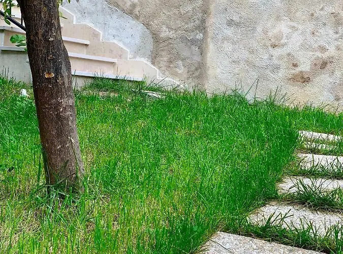 Di Fiore לינה וארוחת בוקר פסקיצ'י