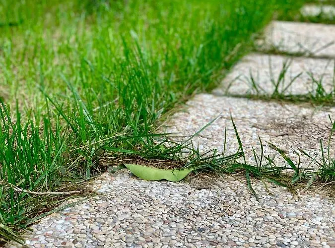 Di Fiore 4* Peschici