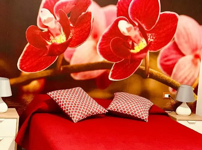 Di Fiore פסקיצ'י