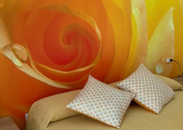 Di Fiore פסקיצ'י